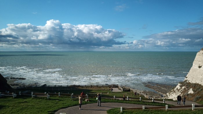 IMG_20201011_162905.jpg