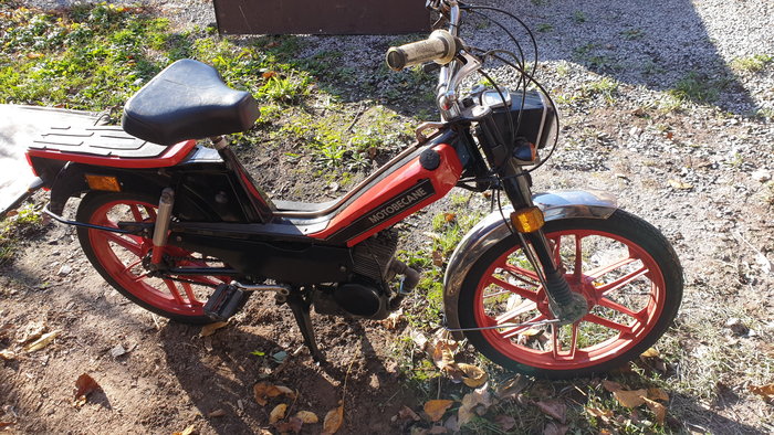 20201031_121806.jpg