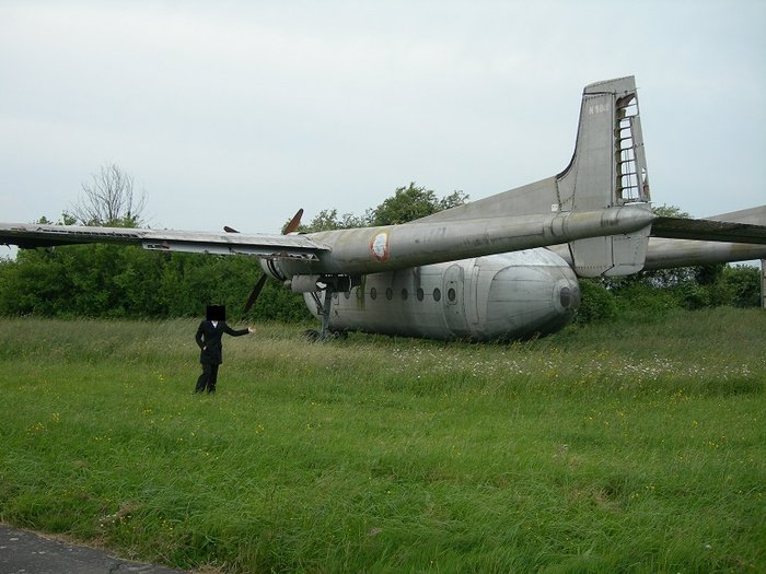 Grise 01.jpg