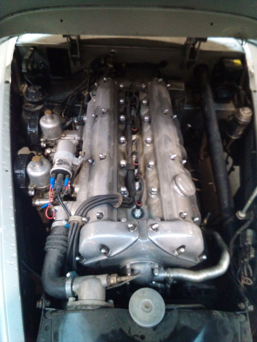 IMG_20201202_114053_8.jpg