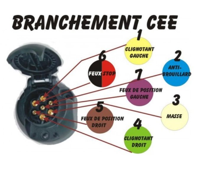 Branchement prise 7 broches.jpg