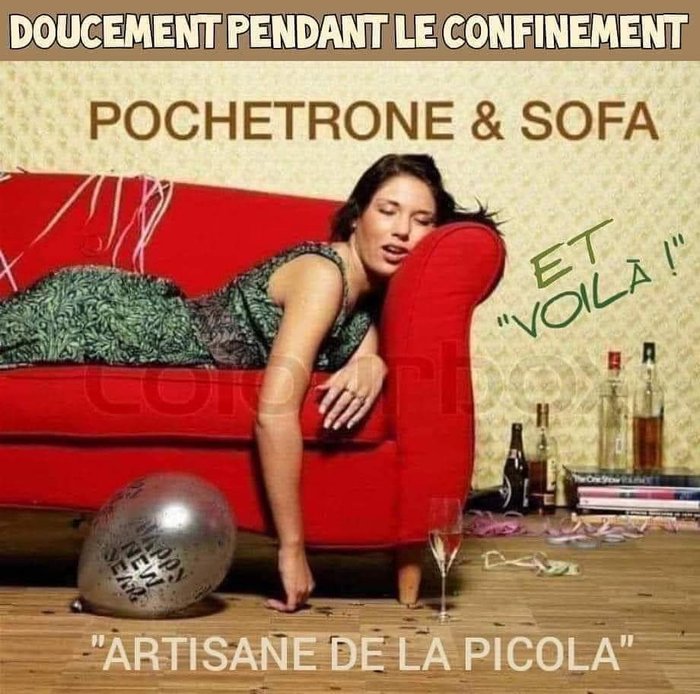 pochetrone et sofa.JPG