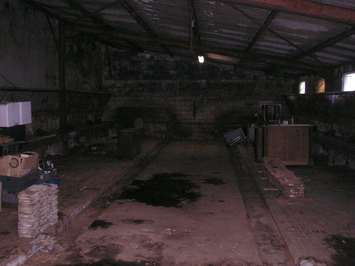 P1010280.JPG