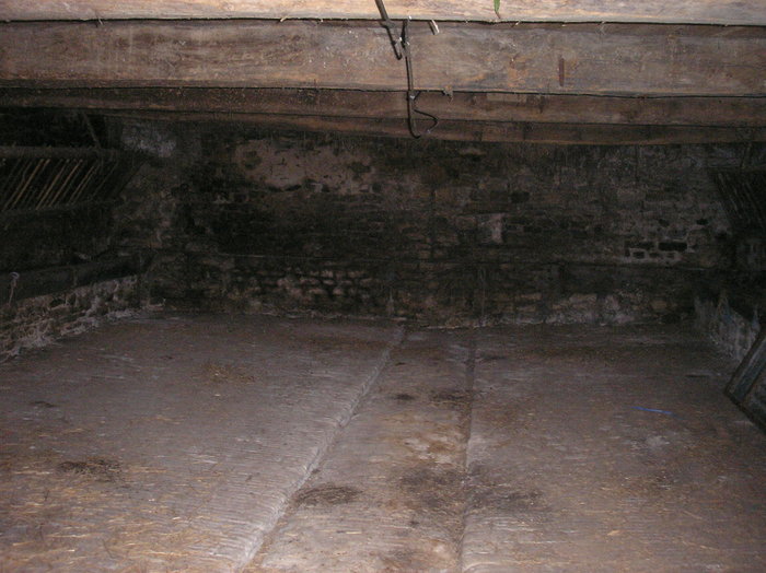P1010305.JPG