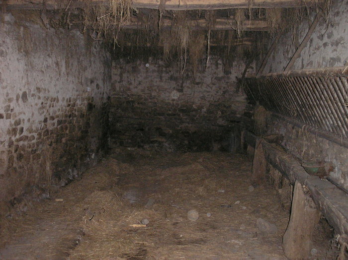 P1010307.JPG