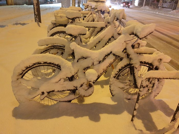 Schnee 01.jpg