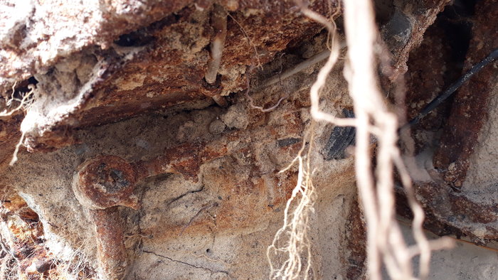 20210314_150805[1].jpg