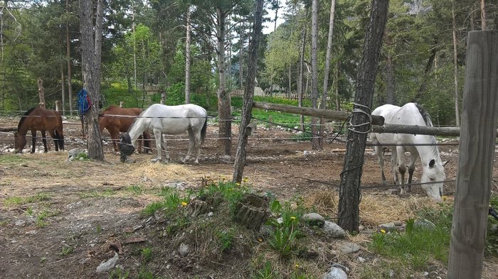 WP_20180527_11_02_44_Pro.jpg