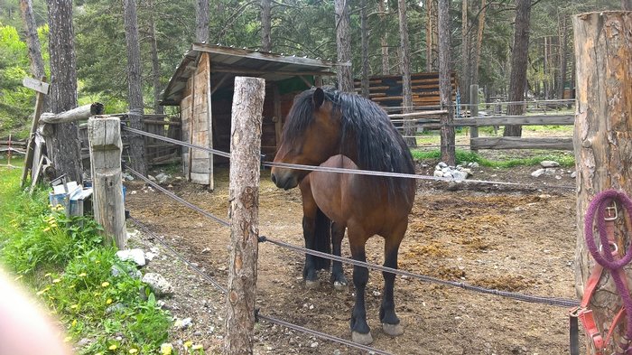 WP_20180527_11_07_18_Pro.jpg