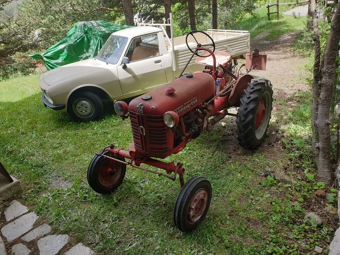 Cub 00.jpg