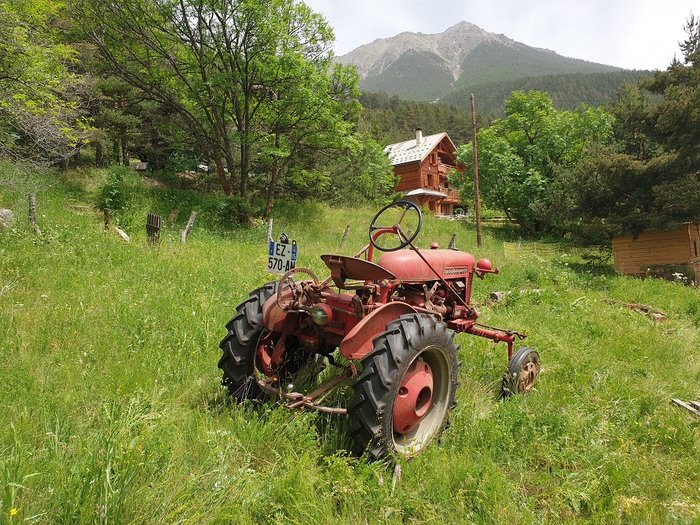 Cub 01.jpg