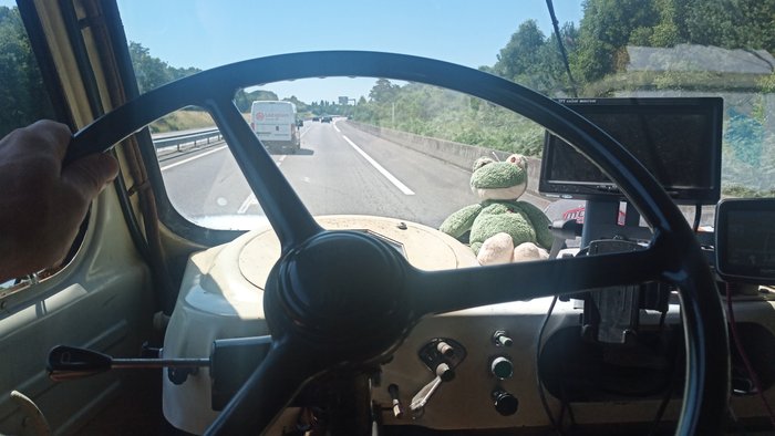 IMG_20210719_140955.jpg