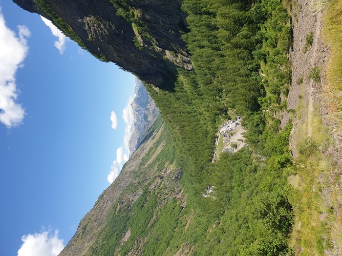 20210802_141950.jpg