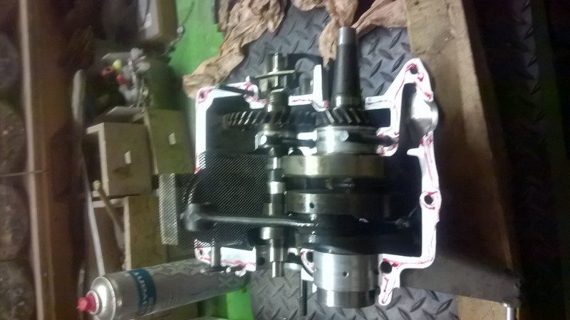 WP_20151209_001.jpg