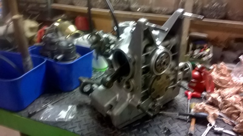 WP_20151209_002.jpg