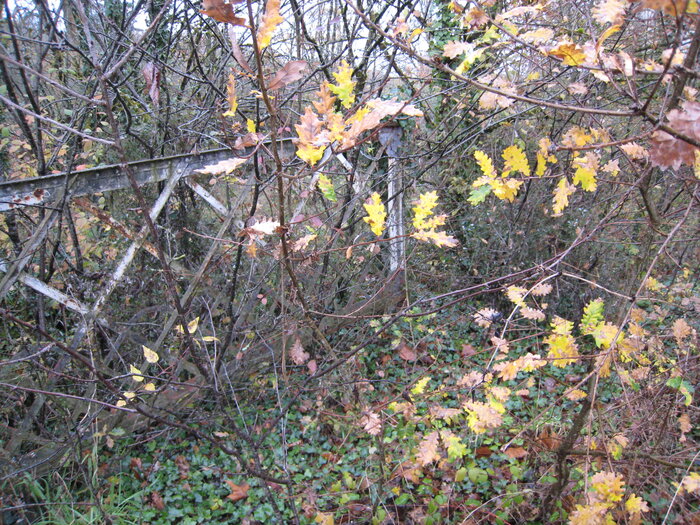 IMG_3102.JPG