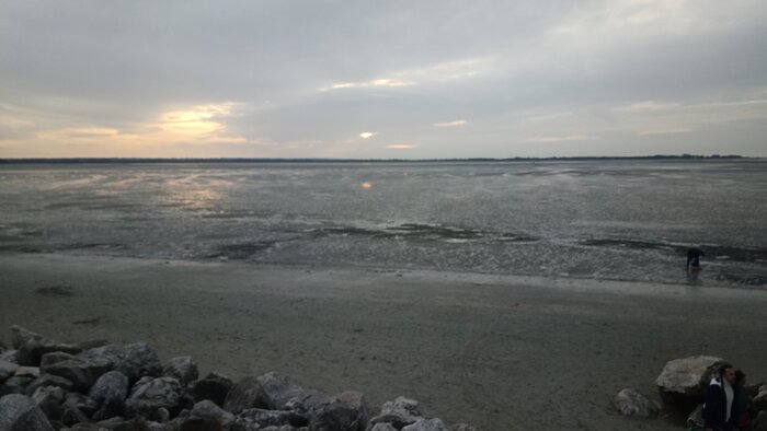IMG_20220101_163023.jpg