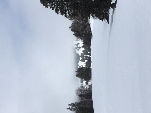 paysage.jpg