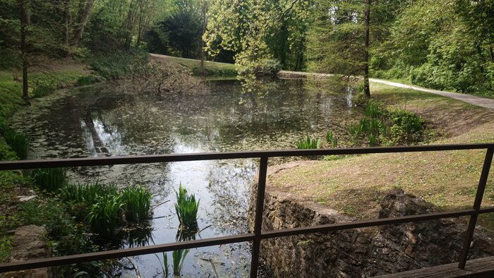 IMG_20220423_145438.jpg
