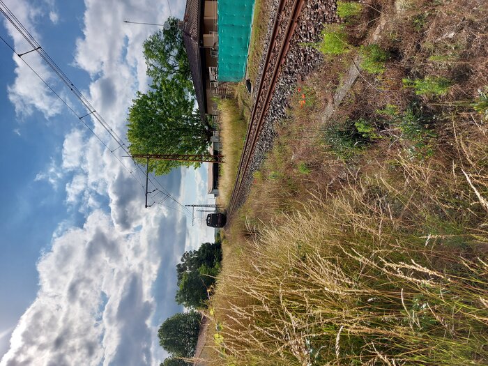 20220605_183608.jpg