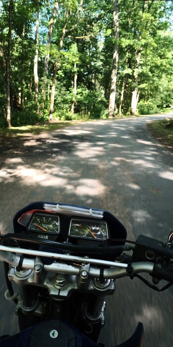 IMG_20220615_173206.jpg