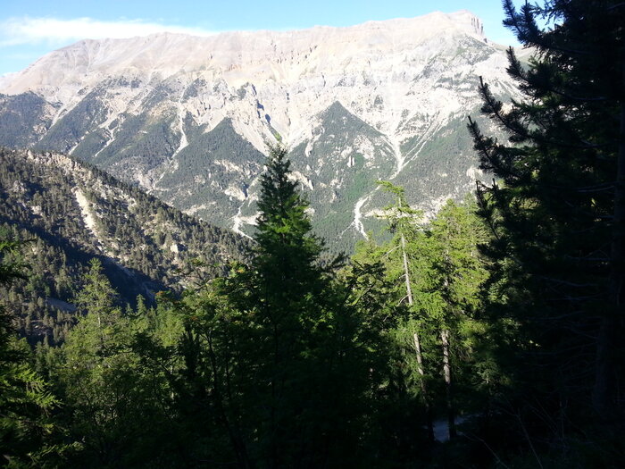 20220613_181751.jpg