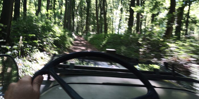 IMG_20220710_170556.jpg