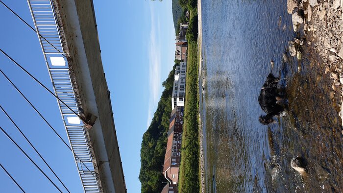 20220730_113726.jpg
