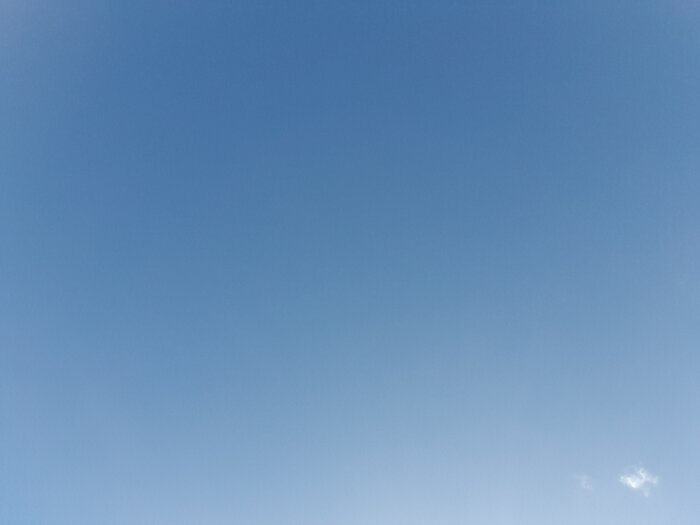 20221021_141632.jpg