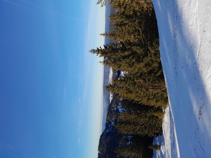 20230211_162559.jpg