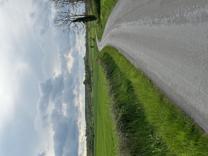 IMG_2574.jpeg
