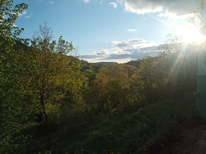 IMG-20230501-WA0011.jpg