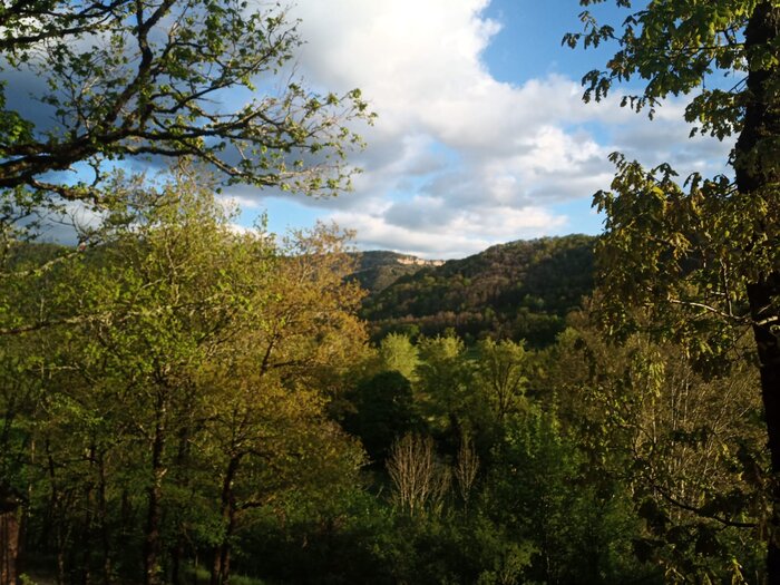 IMG-20230501-WA0012.jpg