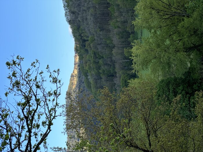 IMG_2746.jpeg