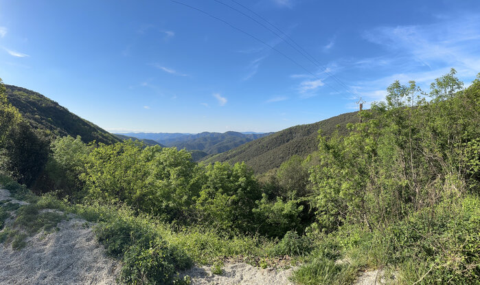 IMG_3437.jpg