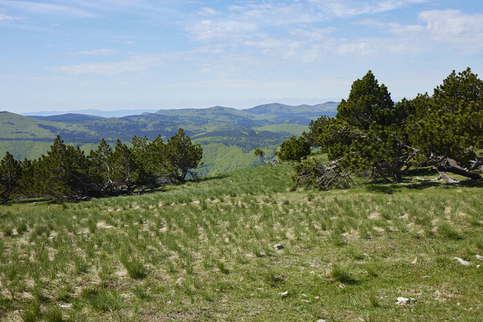_F9A3860.jpg