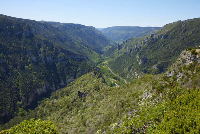 _F9A3839.jpg
