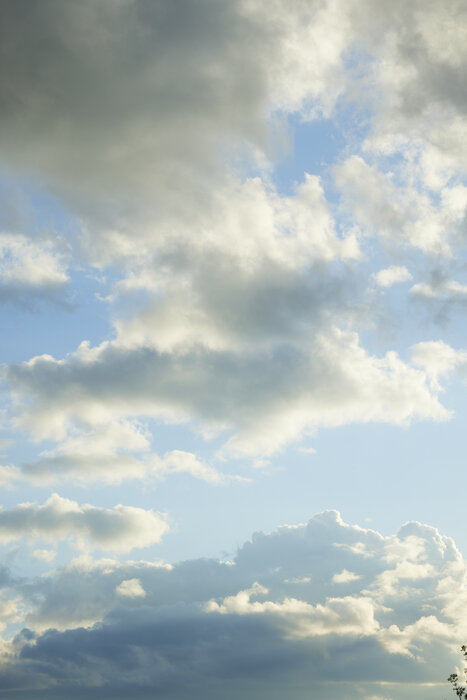 _F9A3738.jpg
