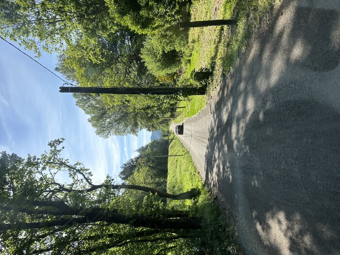 IMG_3382.jpeg