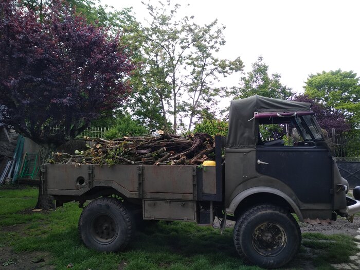 IMG_20230513_124940.jpg