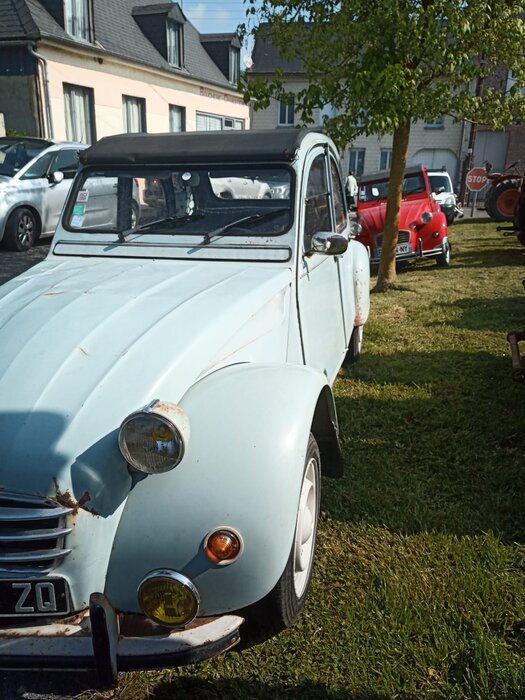 IMG-20230518-WA0008.jpg