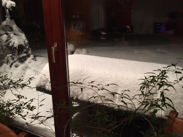 201601152315.JPG