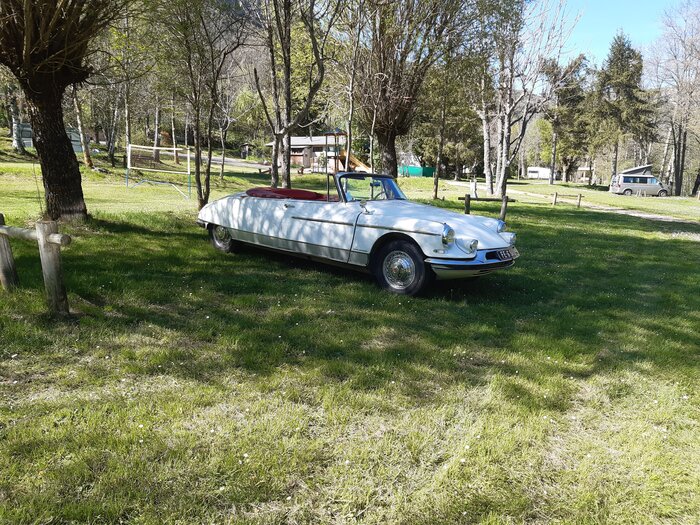 20230503_163125.jpg