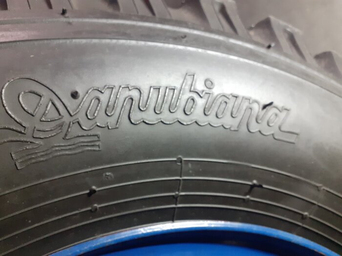 danubiana 1.jpg