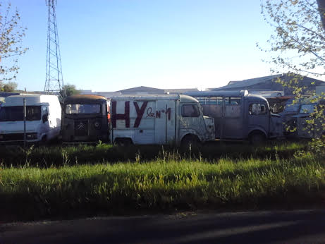 H.jpg