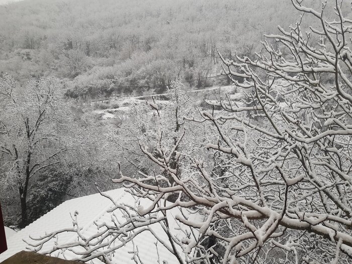 20240111_102629.jpg