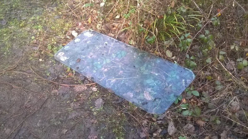 WP_20160203_008.jpg