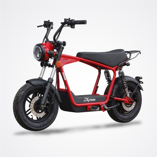 moto-electrique-dax-e-wat-1200w-skyteam-.jpg