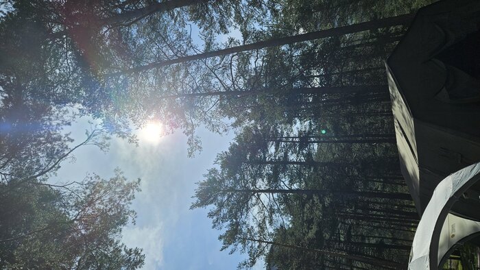 20240520_103705.jpg