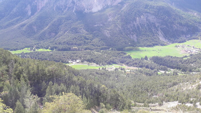 20240521_165022.jpg